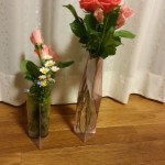 お花と一緒にビニール花瓶の贈り物はいかがですか？