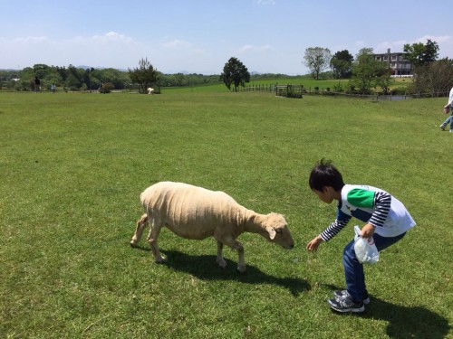 無料で動物と触れ合える 滋賀県畜産技術振興センターへは家庭にある アレ を必ず持って遊びに行こう 滋賀のママがイベント 育児 遊び 学びを発信 シガマンマ ピースマム