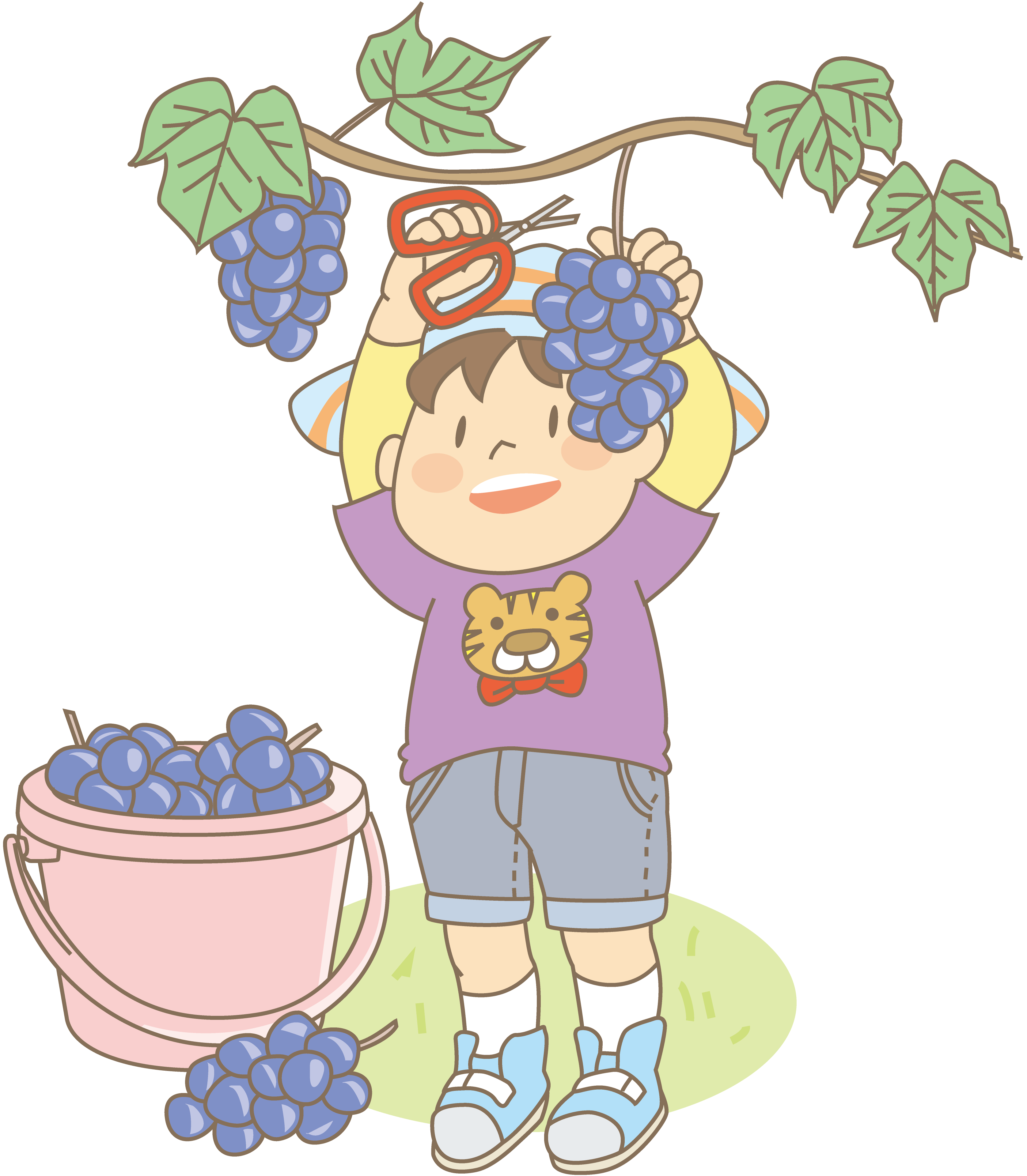 長浜 南浜観光ぶどう園 ブドウ狩りが8月中旬から楽しめます 滋賀のママがイベント 育児 遊び 学びを発信 シガマンマ ピースマム