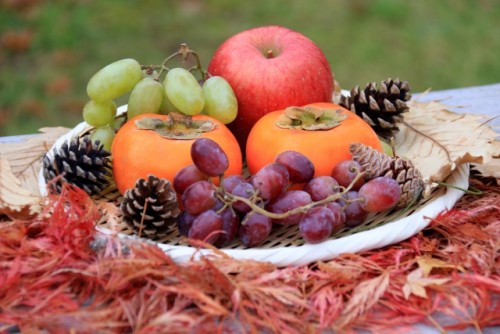 11月11日は高島市で「JA西びわこ農業祭」が開催！高島の美味しい秋を食べつくそう！ふわふわ遊具も登場♪