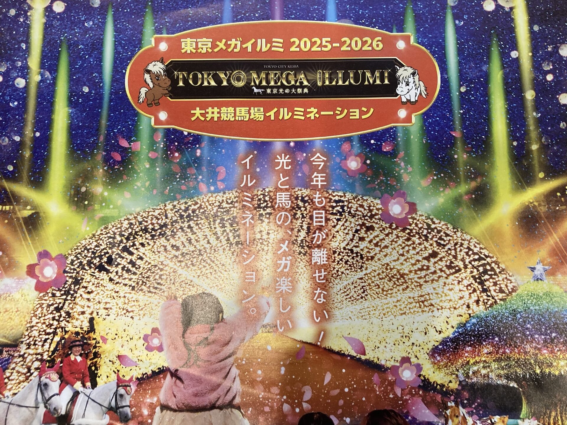 11/1〜1/11 大井競馬場メガイルミ 家族で楽しい夜のおでかけに♪【品川】