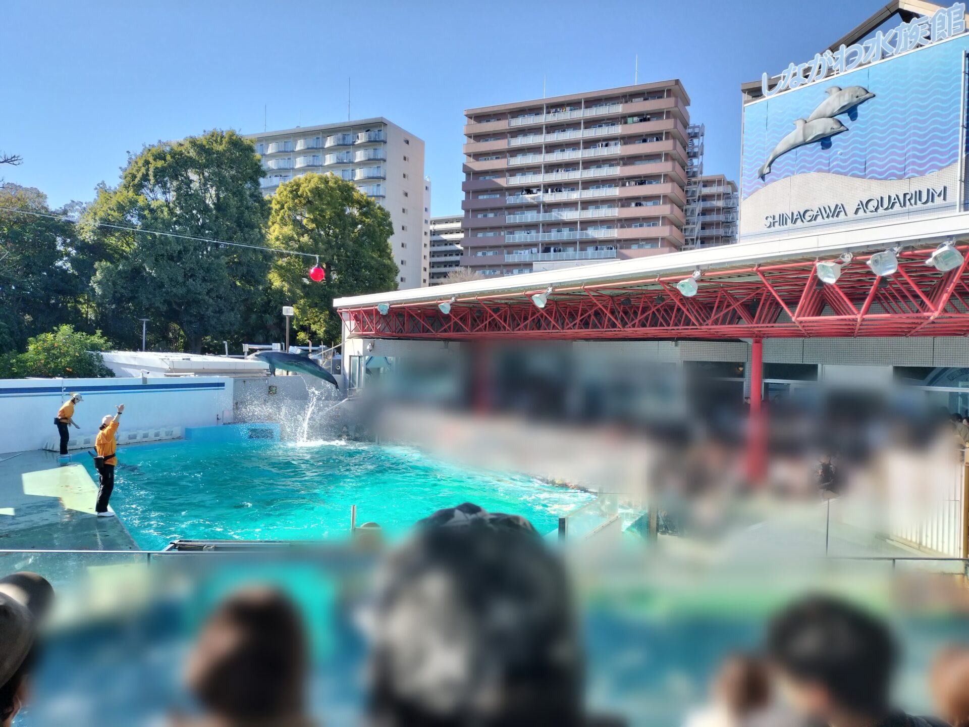 【大森・大森海岸】イルカショーも見られる🐬しながわ水族館