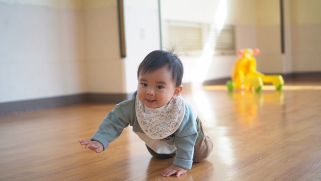 【横浜】【京急ミュージアム】「赤ちゃんはいはいレース」2月7日・8日