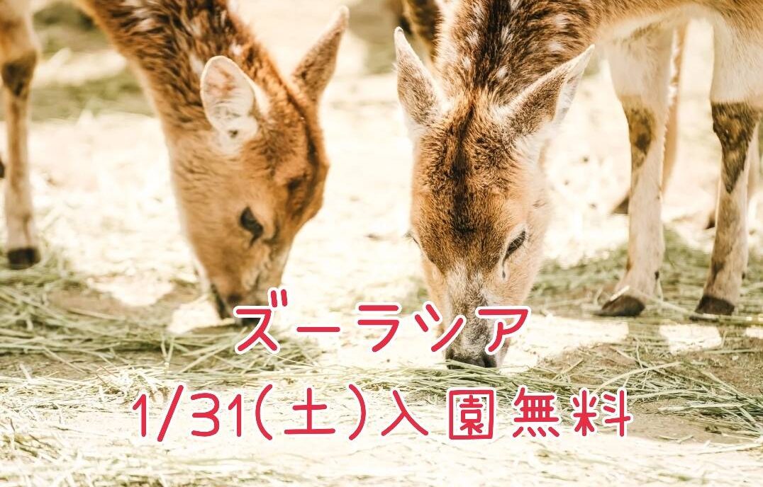 【横浜】1/31（土）ズーラシア🦁入園無料DAY！クイズラリーイベントもあるよ🎵
