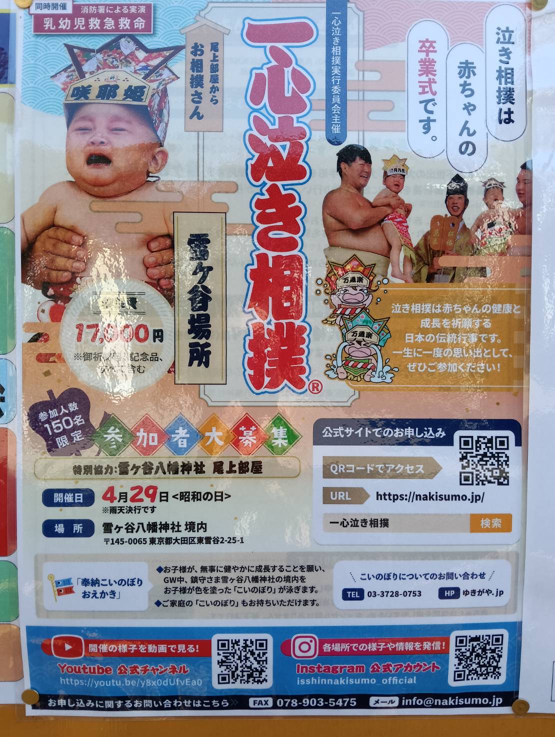 【石川台】4/29（祝・水）一心泣き相撲　～赤ちゃんの健康と成長を祈願して～　@雪ヶ谷八幡神社