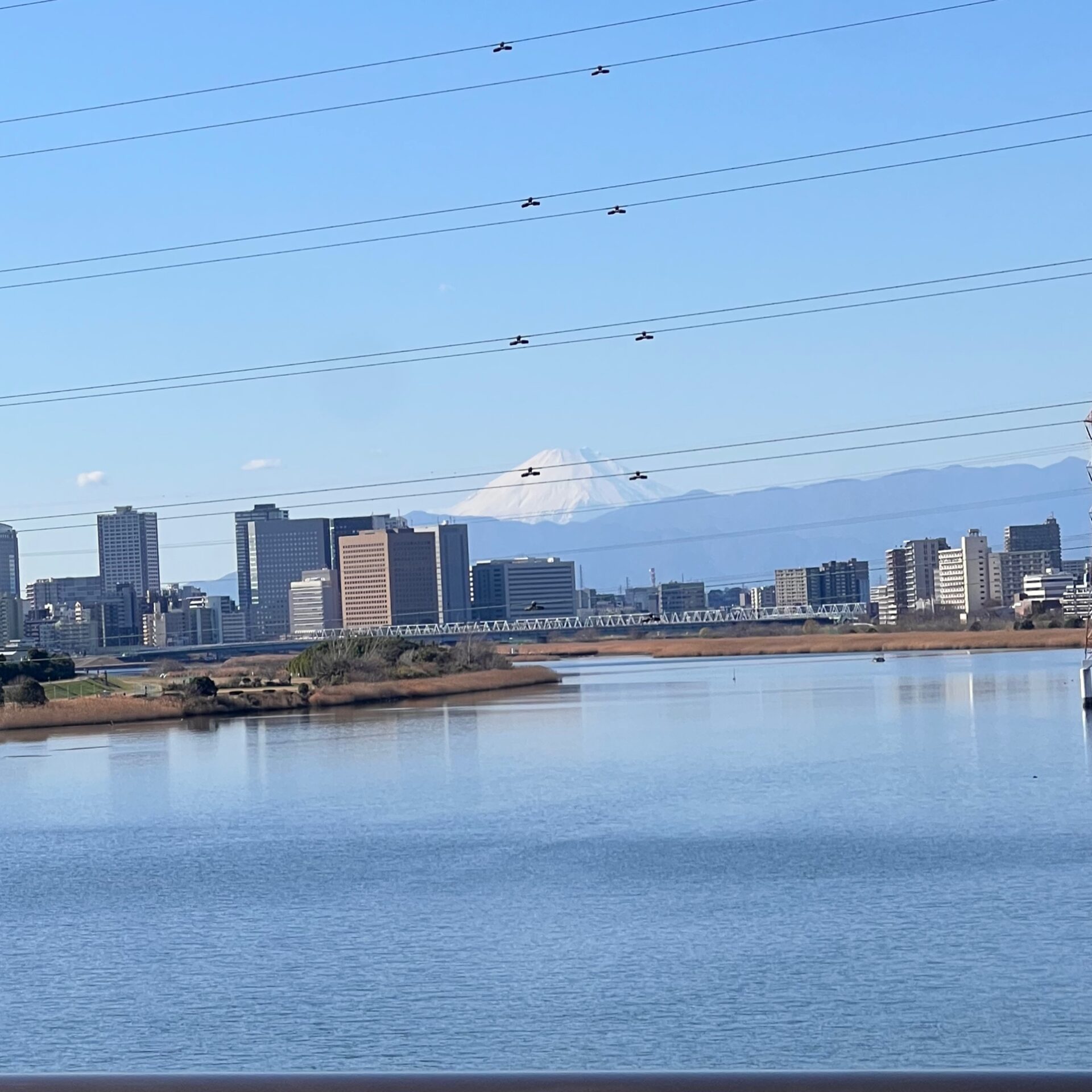 こどもとお散歩中に発見！大田区の富士山スポット【大鳥居•多摩川沿い】