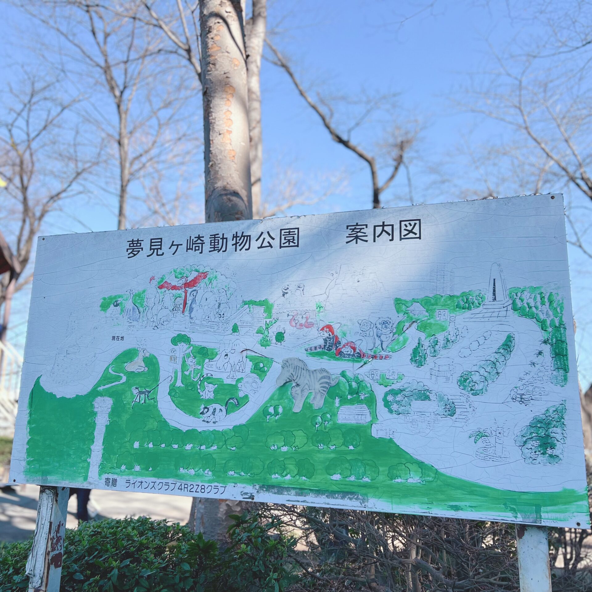 【川崎】夢見ヶ崎動物公園に行ってきました