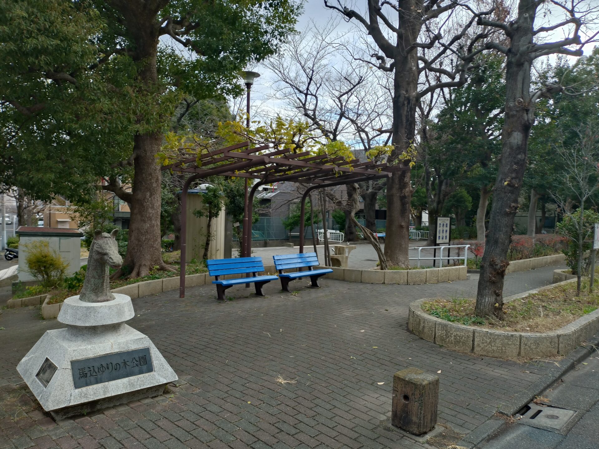 【西馬込】人が少なくて穴場！？「馬込ゆりの木公園」