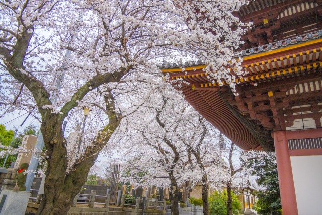 【池上】池上本門寺「池上本門寺春まつり」4月4日・5日