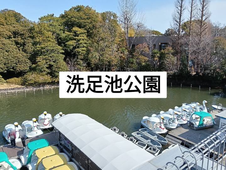 【洗足池】洗足池公園で1歳の子どもとスワンボートに乗ってみた！🦢