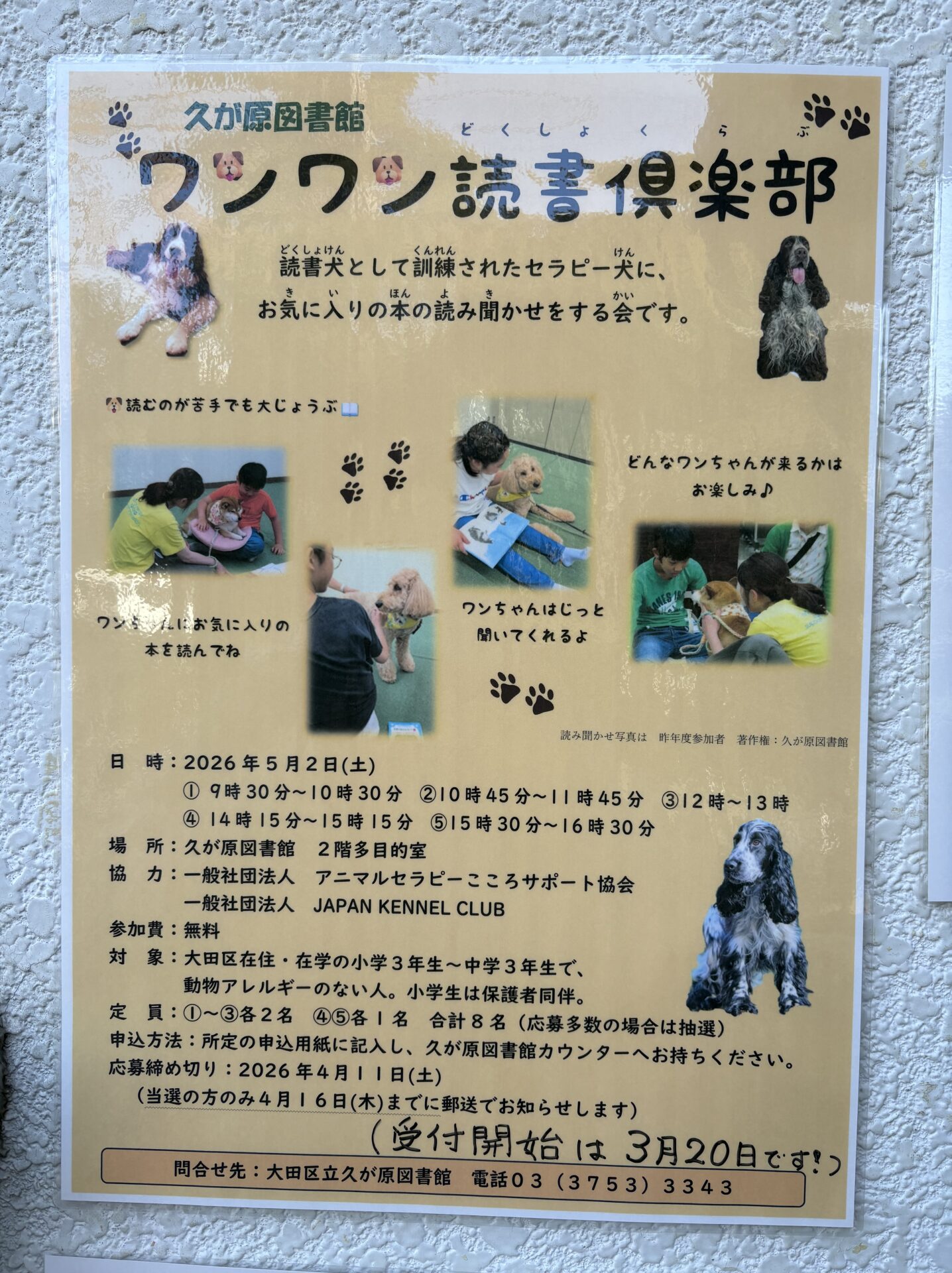 【久が原】図書館でセラピー犬と過ごせる！