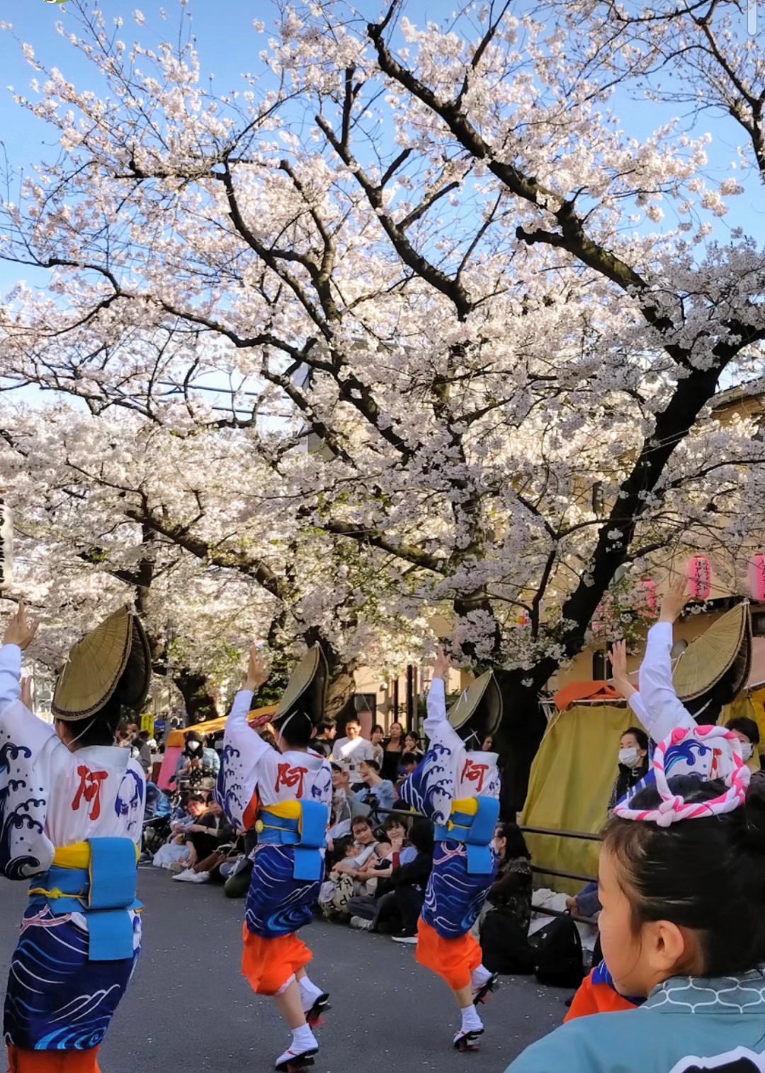 【南馬込】今年も！！毎年大勢で賑わうお祭り「馬込文士村大桜まつり」