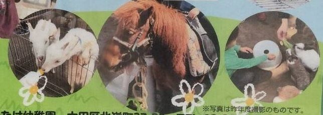 【御嶽山】4/18（土）開催！予約不要・参加無料！ふれあい動物園🐰