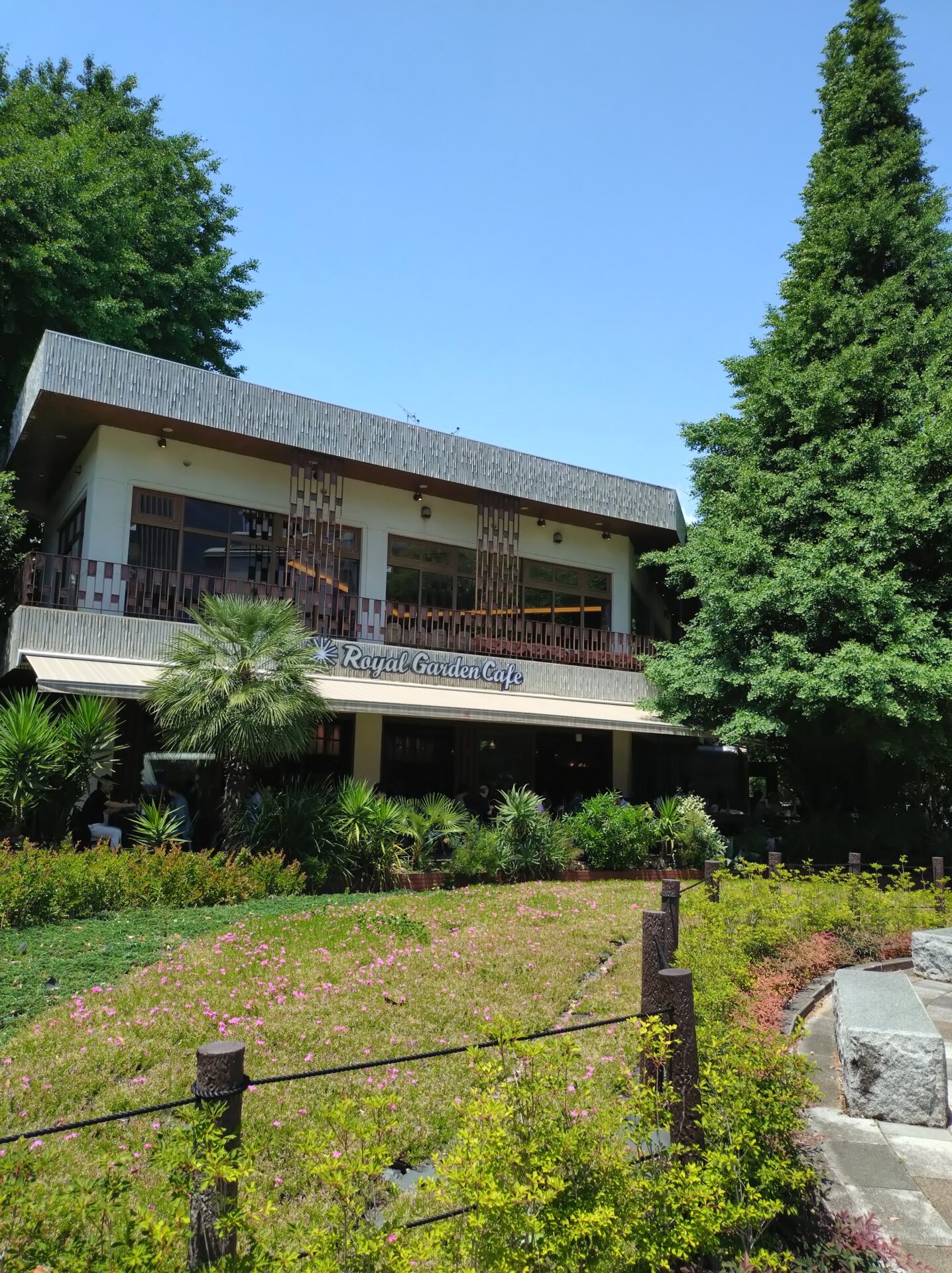 【青山】子連れランチにおすすめ！ドラマのロケ地としても人気の「ロイヤルガーデンカフェ青山」レポ