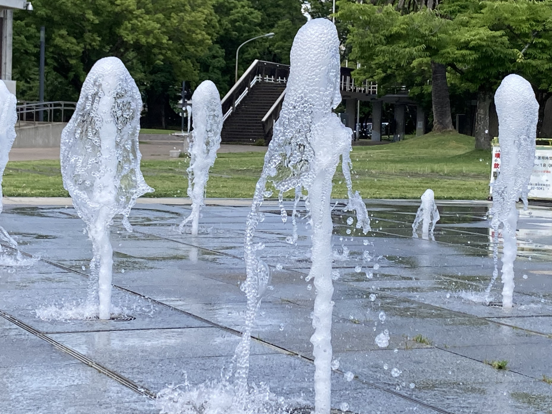 【2026年版】大田区周辺の水遊びスポット31選｜じゃぶじゃぶ池・噴水・親水公園・無料で遊べる場所まとめ