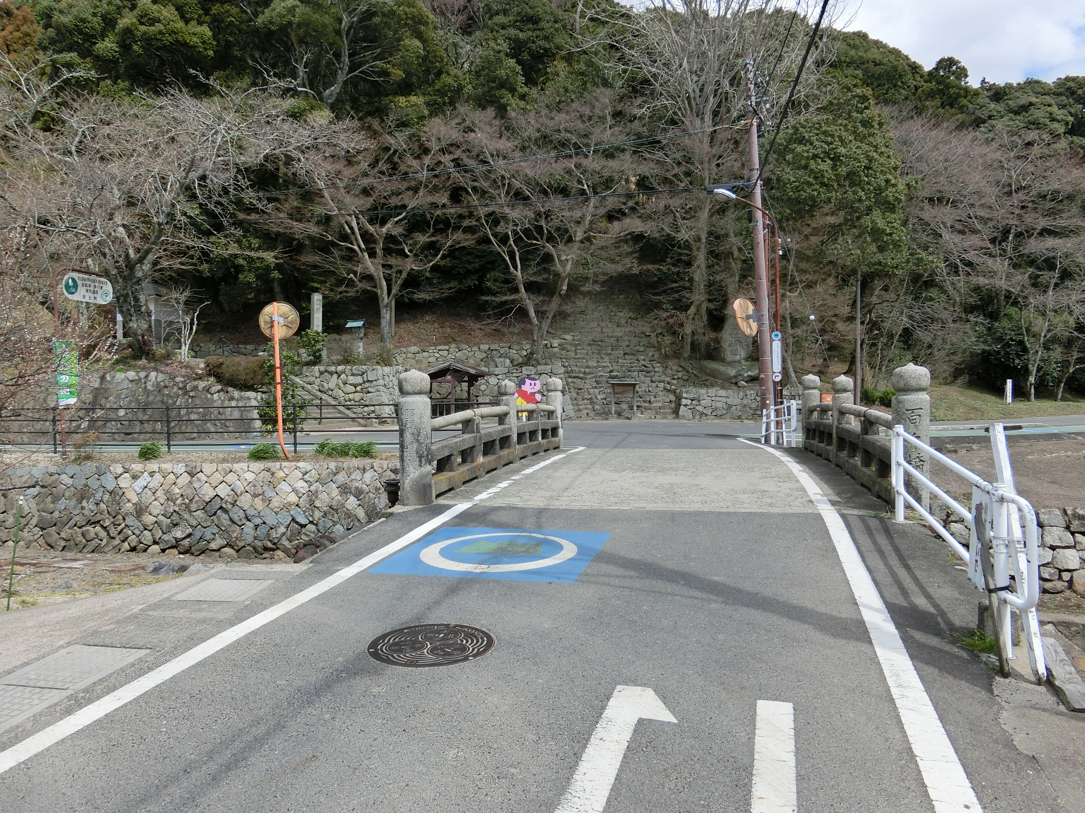 安土城跡の桜情報（近江八幡市安土町3月24日現在）