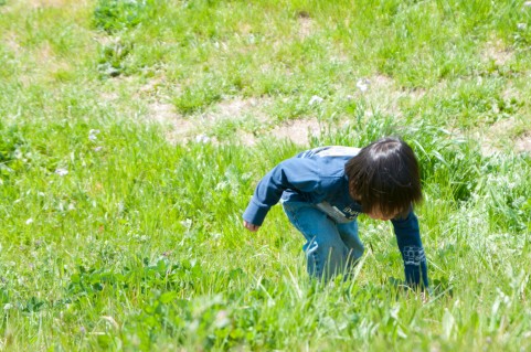 大人も童心に返って遊ぼう！8月28日は近江富士花緑公園にて「のやまであそぼう8月」が開催！