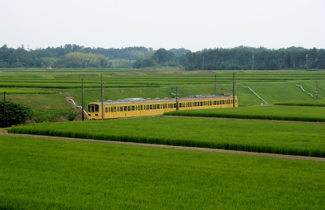 電車で、食で、滋賀県を堪能できる「おいしが うれしが電車」が走行！予約開始は9月5日から！