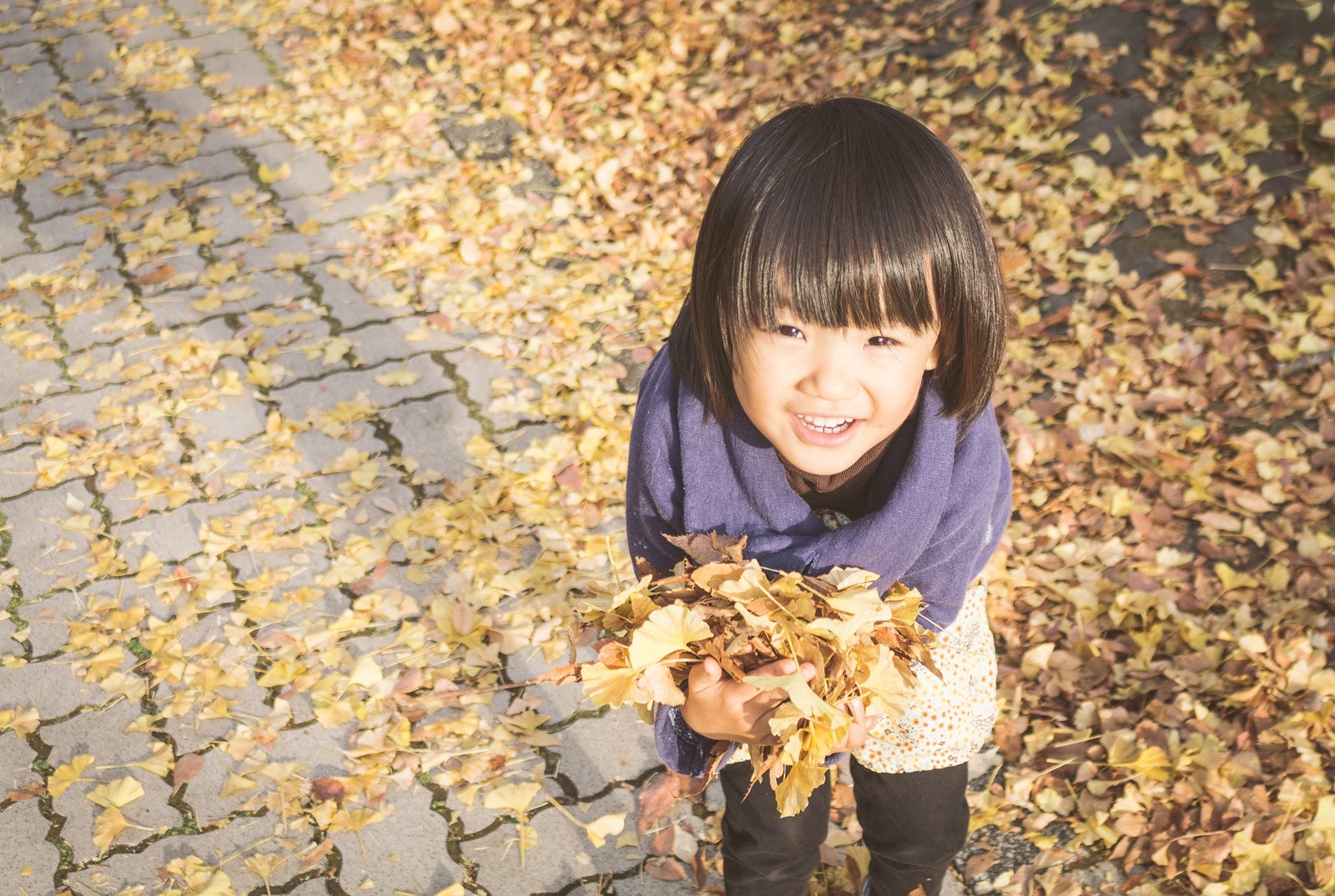 ふれあい、学び、楽しめるイベント盛り沢山！11月3日(土)は矢橋帰帆島公園でオータムフェスタ♪