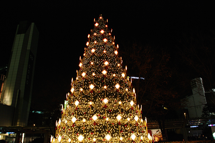 12月は夜に訪れたい！点灯式やクリスマスコンサートもあります！豊郷小学校旧校舎群ライトアップ&イルミネーション★