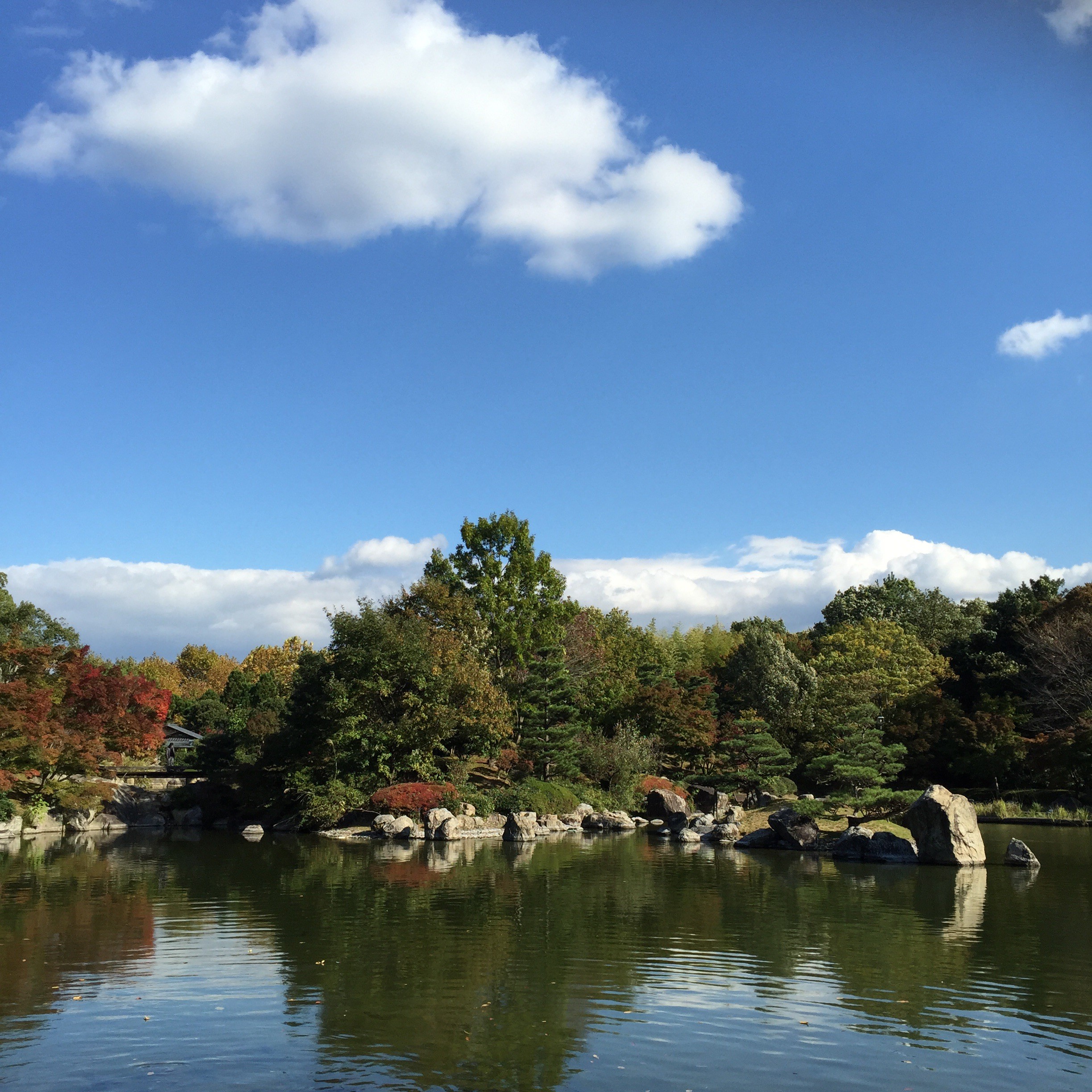 隠れた紅葉スポット！滋賀県立近代美術館の周辺は秋がいっぱい！