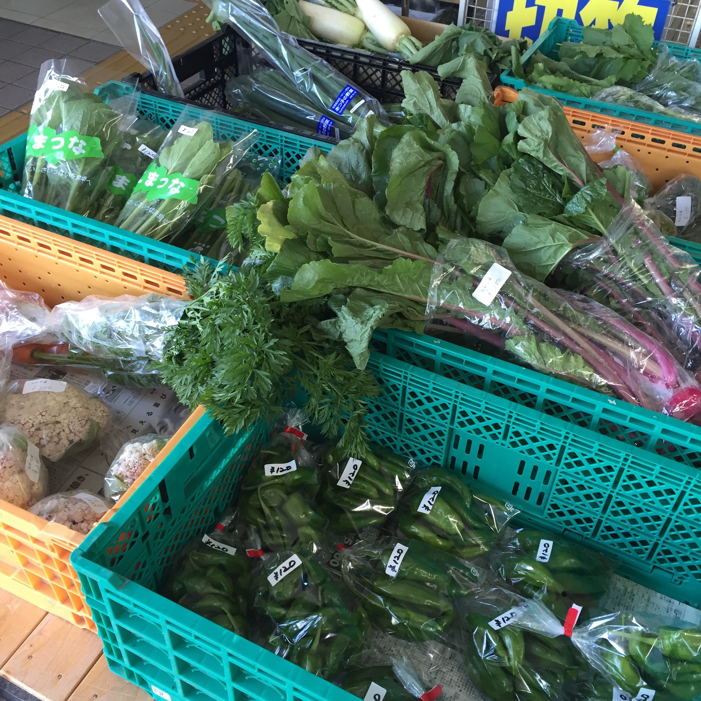 水曜日と土曜日は守山駅前開催の野菜市「やまもりいち」へ！お買い得な野菜に名産品が「やまもり」です！