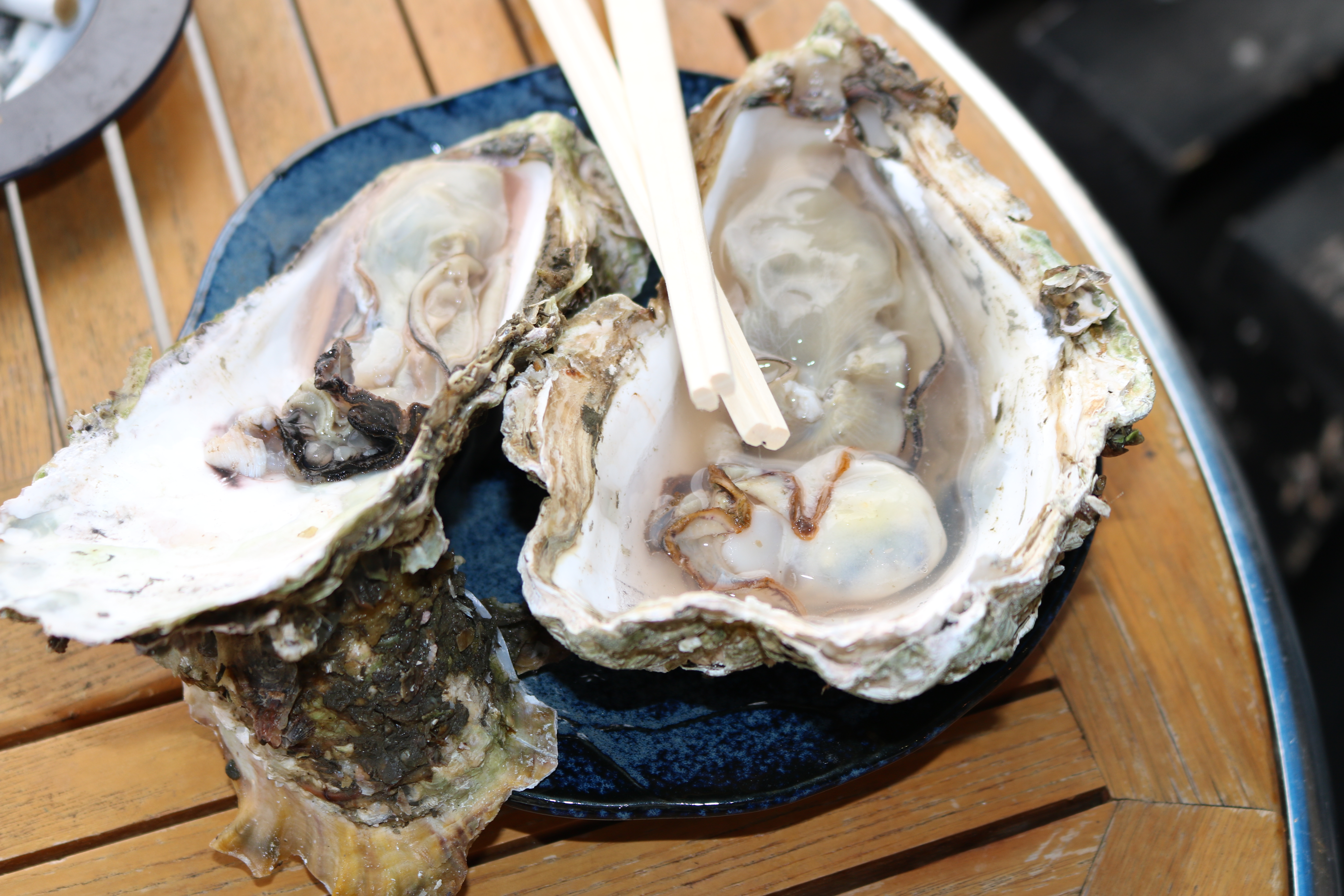 新鮮な天然真牡蠣をテーブルで蒸し焼きに！舞鶴市の「かき小屋」へ食べにいってみませんか？