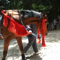 迫力満天の 流鏑馬 を見て来ました 観覧席だったので目の前を馬が走り感動しました 滋賀のママがイベント 育児 遊び 学びを発信 シガマンマ ピースマム