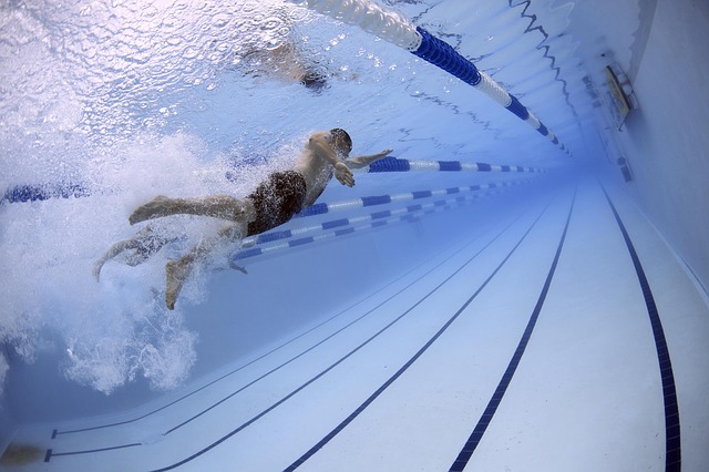 世界水泳のパブリックビューイング開催！彦根市出身の選手を応援しよう！