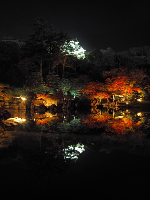 月明りに虫の音が響く☆秋の夜はライトアップされた彦根城へ！10月7日・21日は「彦根城夜楽」開催で入城料が無料に♪