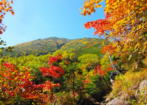 5歳～参加出来る「山の日」に大津の自然を楽しもう！年齢に合わせて3コースあります！☆要予約、小学6年生まで