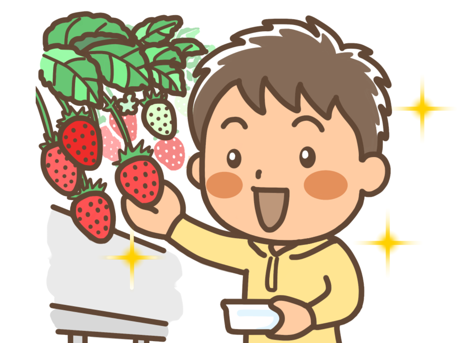 1月16日から草津市のロックベイガーデンで「いちごの収穫体験」がスタート！嬉しい”量り売り制”で気軽に体験しよう♪
