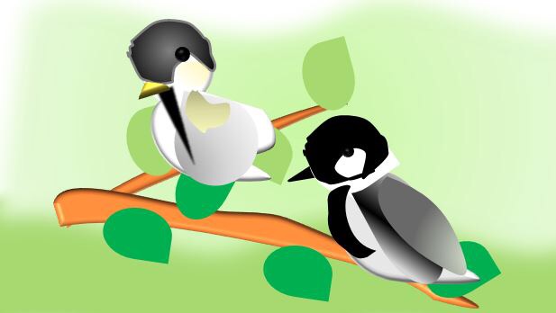 2月18日は草津市のロクハ公園で「野鳥ウォッチング2」が開催！数多くの種類が集う冬のロクハ公園を歩こう♪
