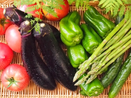 家庭菜園を始めてみませんか！野菜作りの基礎が学べます！☆要申込、参加費無料
