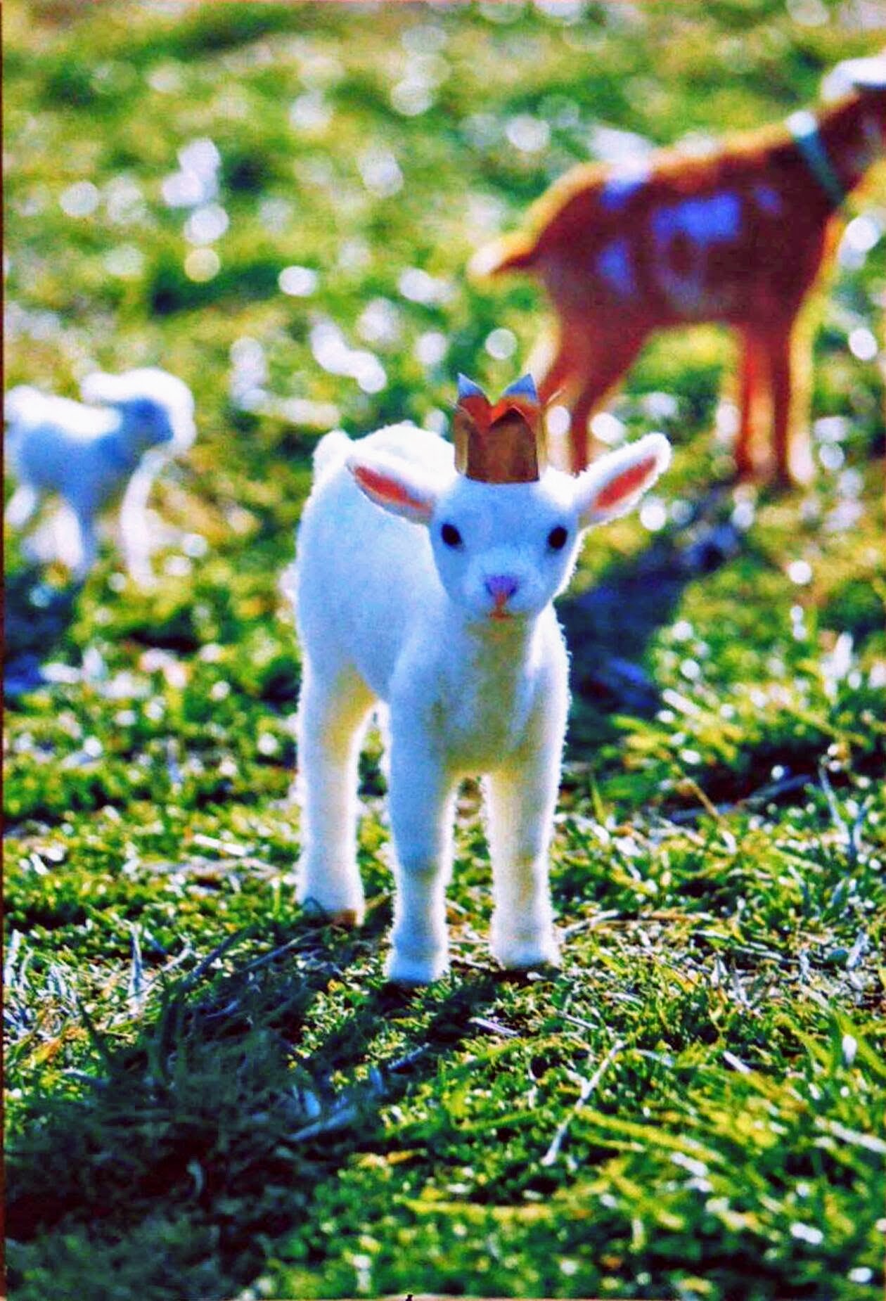 羊毛フェルトで出来たリアルでかわいい動物たちに癒される♪愛知川びんてまりの館にて「YOSHiNOBU 羊毛フェルトの動物たち」が開催中です！