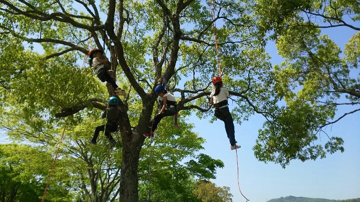 【7月5日～11月29日】自然の中で木登り体験！近江富士緑地公園にて「ツリーイング」開催☆インストラクターもいるので安心！