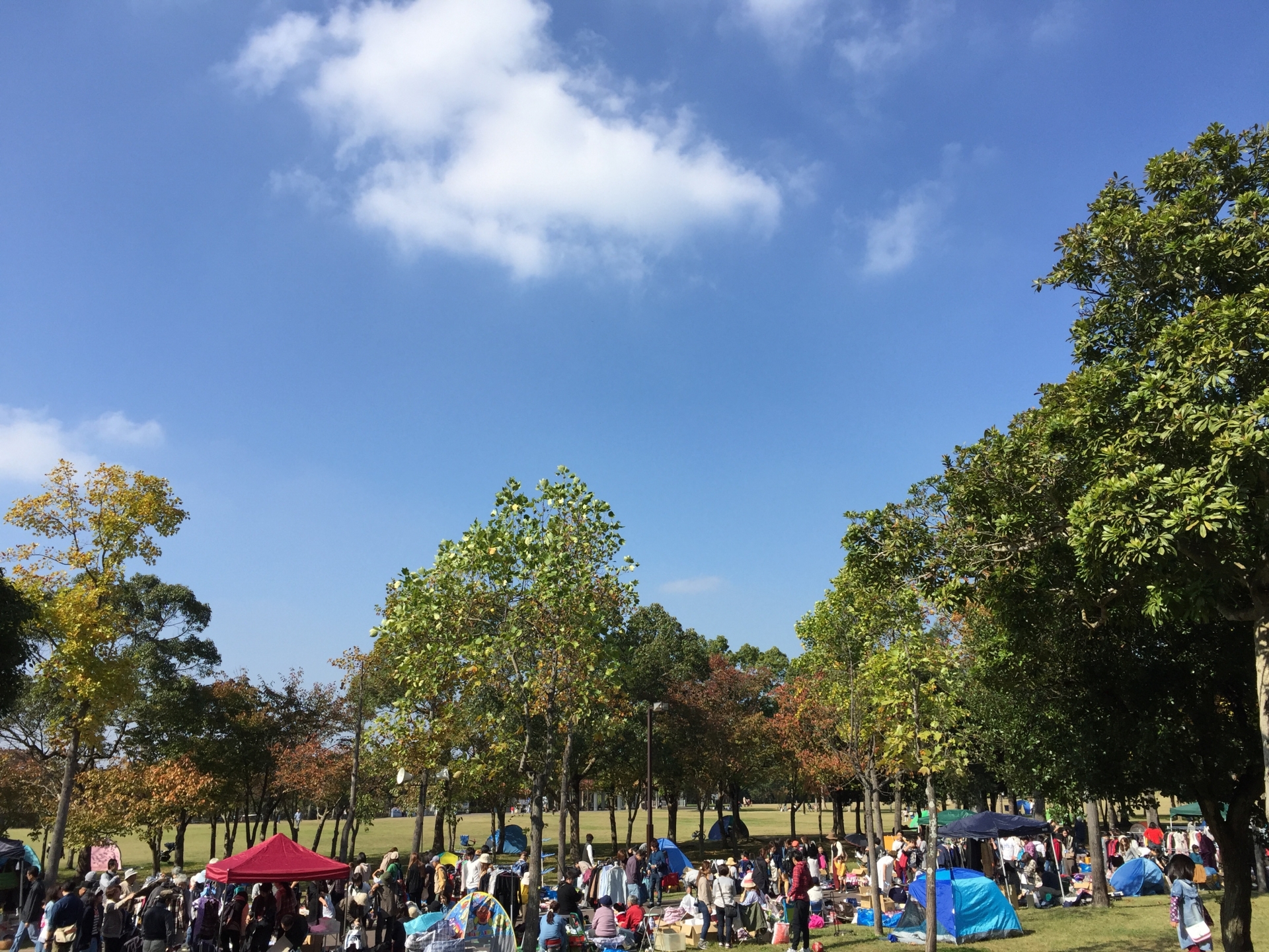 守山市にある、みさき自然公園で5月6日に「第5回フリーマーケット」が開催！飲食ブースもあるよ！！