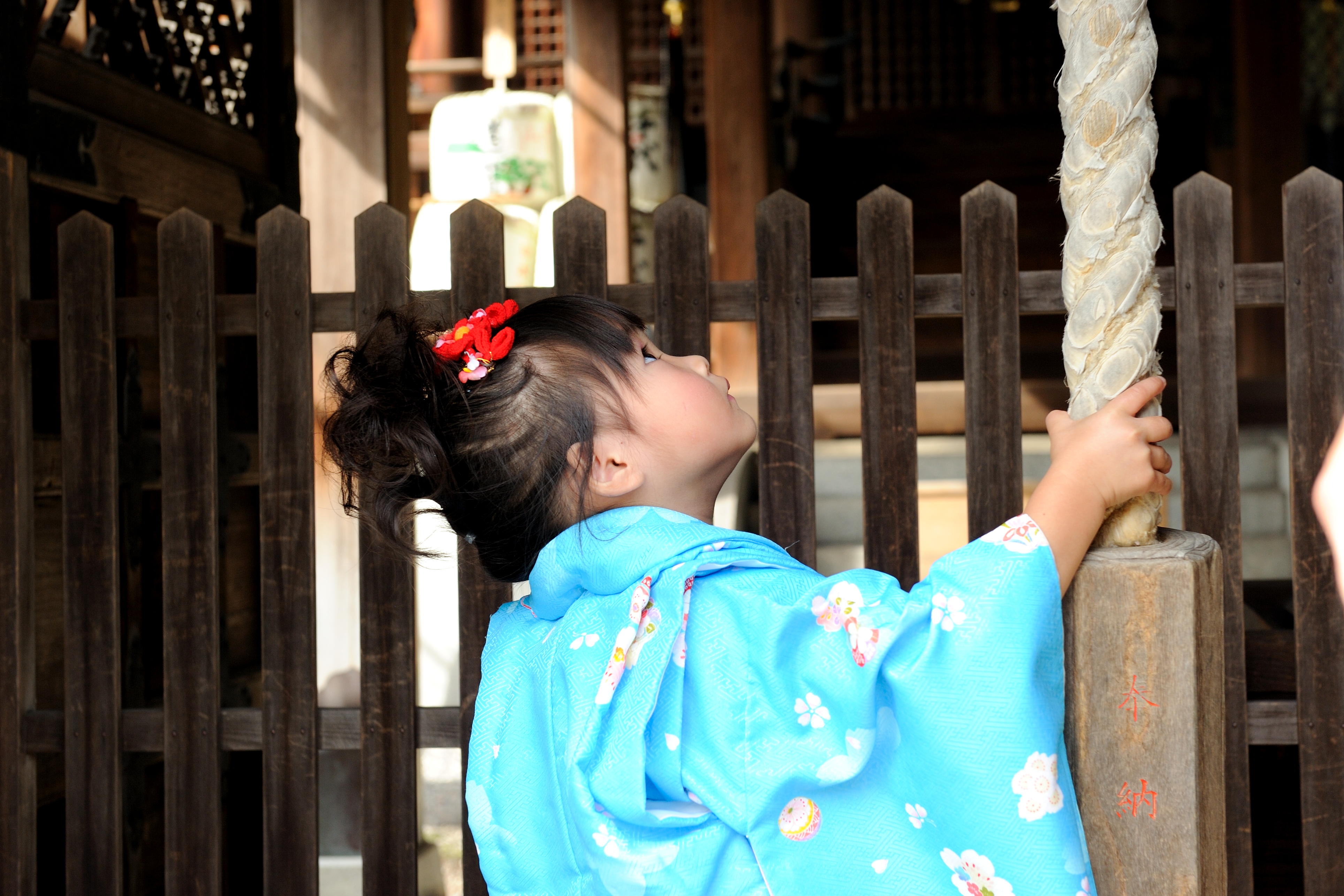 「立木神社×飲食店」七五三お楽しみコラボ企画♪七五三詣りでプレゼントをGETしよう！
