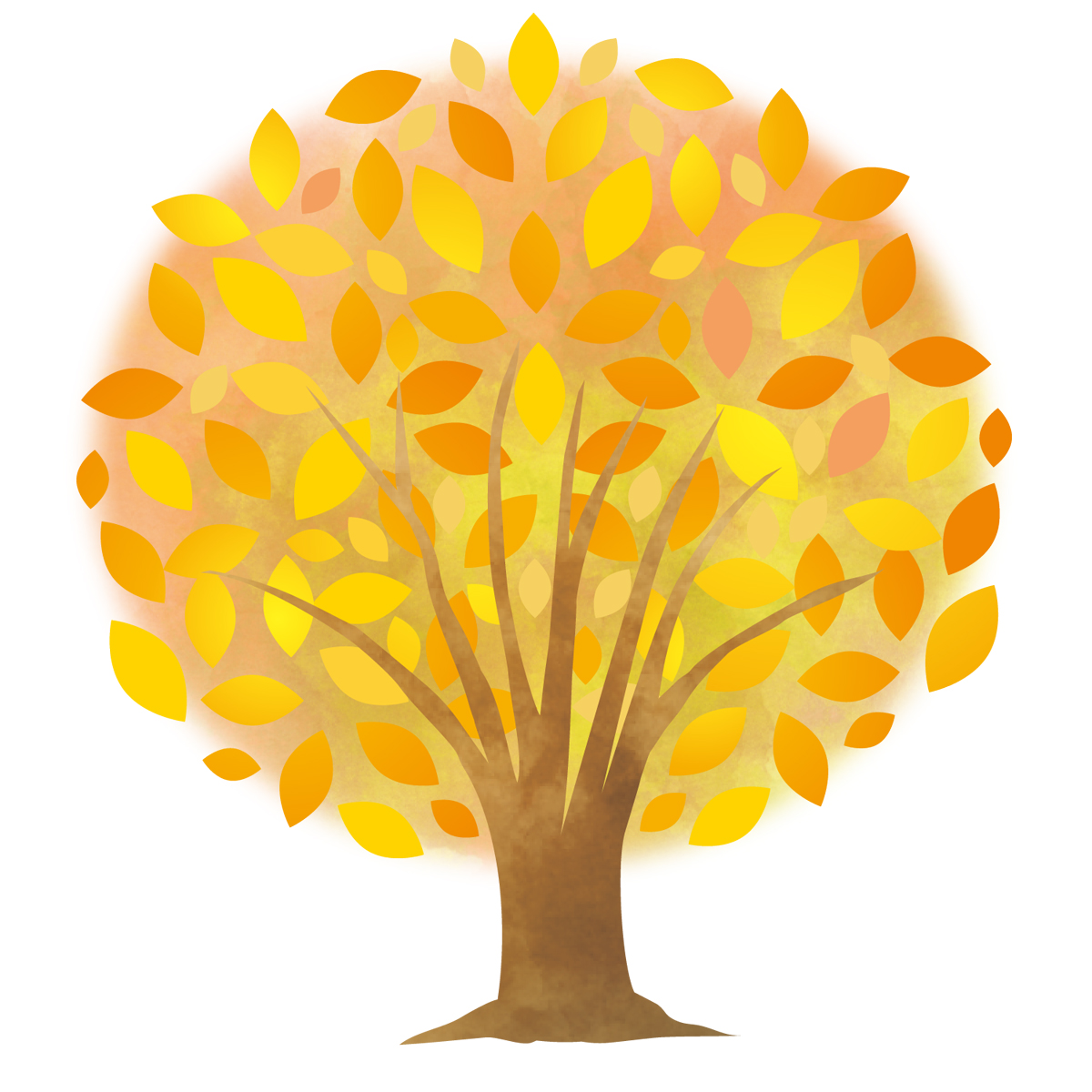 《11月4日》秋の木々や草花を眺めて観察しよう！草津市のロクハ公園で「樹木・草花ウォッチング」が開催！