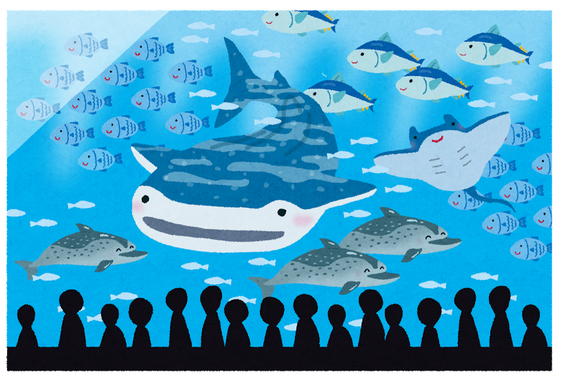 岐阜県 アクア トトぎふの水族館でイロ 色 スタンプラリーが開催されます 2019 1 31まで 滋賀のママがイベント 育児 遊び 学びを発信 シガマンマ ピースマム