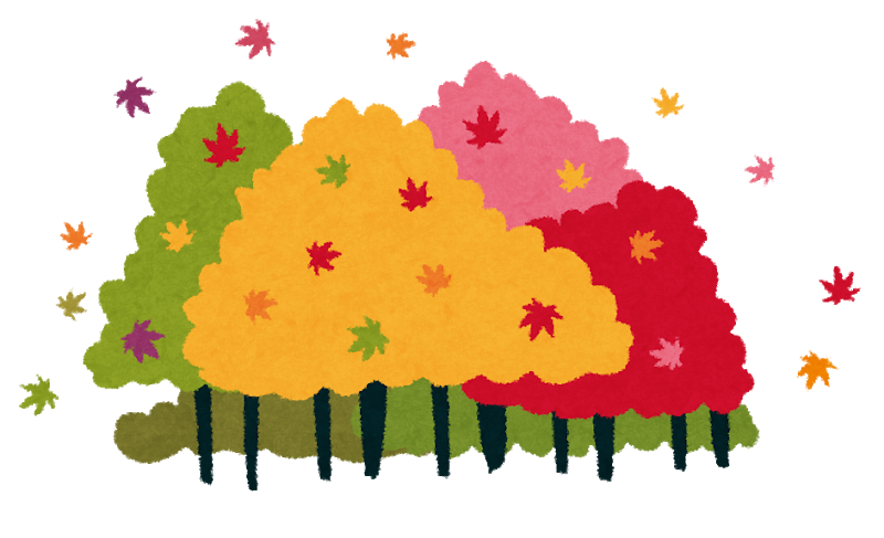 11月23日紅葉を観に小谷城山麓へ行こう 小学生以上は参加できます 滋賀のママがイベント 育児 遊び 学びを発信 シガマンマ ピースマム