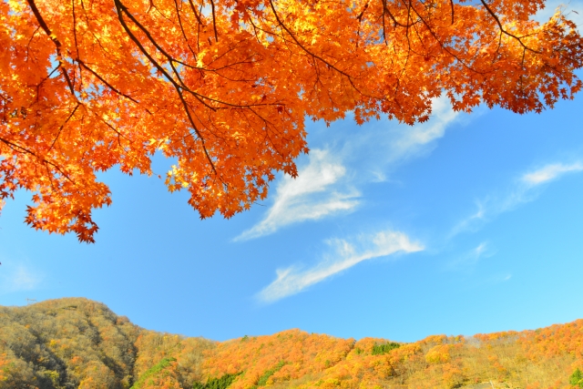 秋の荒神山でトレッキング！隠れた紅葉の名所探ししてみませんか？