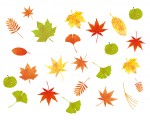 《11月25日》草津市のロクハ公園で「落ちばの日」イベントが開催！家族や友達とのチームでロクハ公園の秋を楽しもう♪