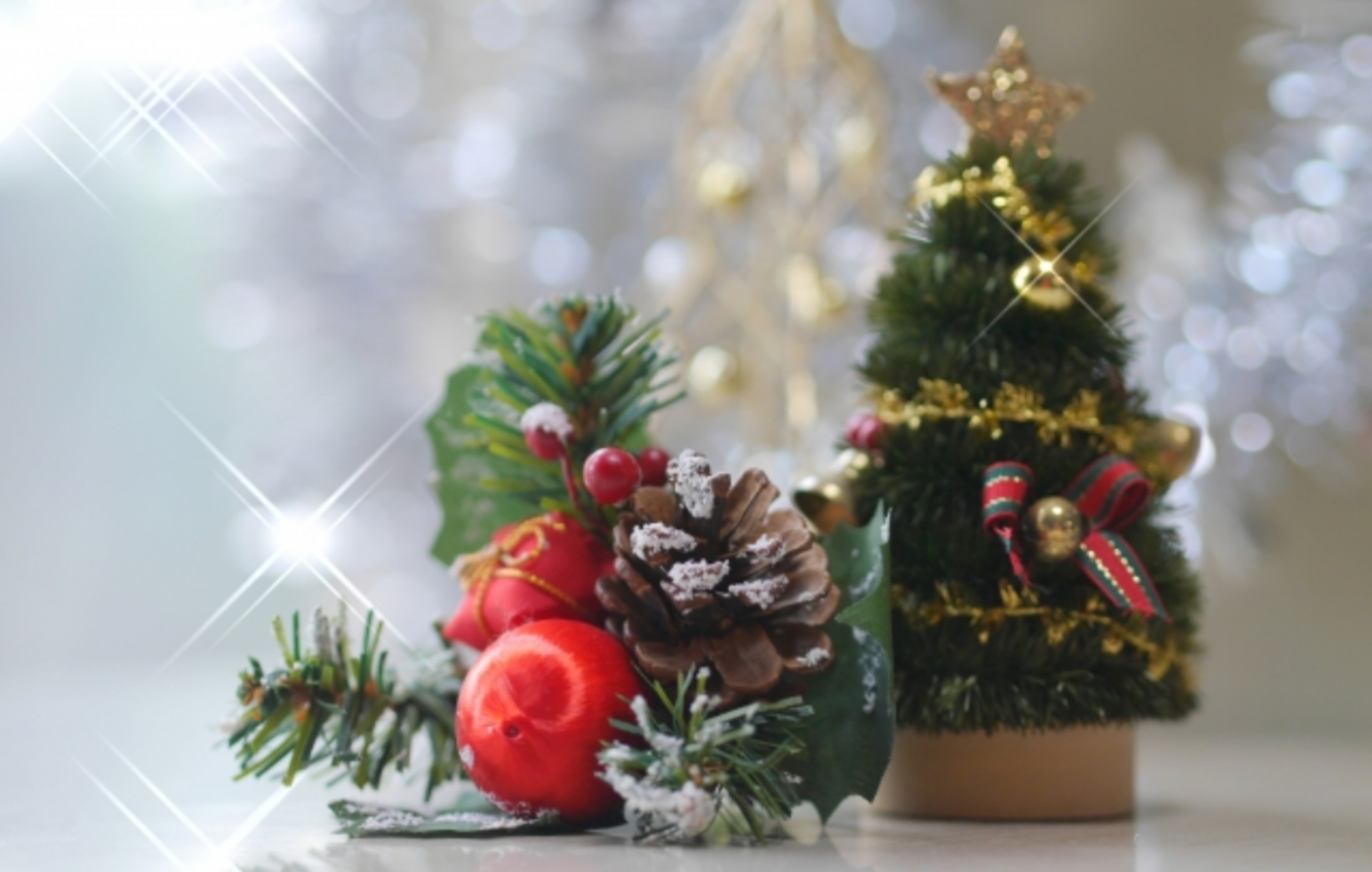 〈12月21日 フォレオ大津一里山〉小さなお子さまでも簡単に作れる♪ミニクリスマスツリーを作ろう！