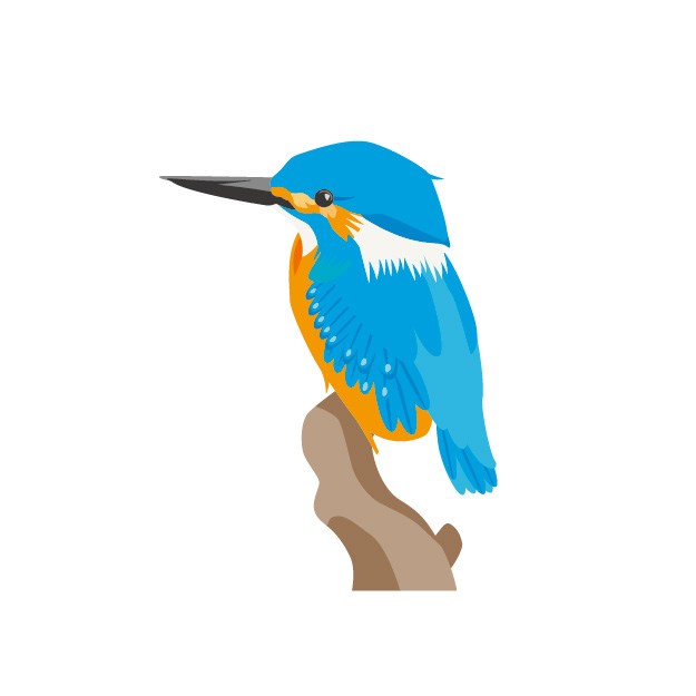 《12月16日》草津市のロクハ公園で「野鳥ウォッチング」が開催！冬を迎えた公園を散策しよう♪参加無料、事前申込不要！