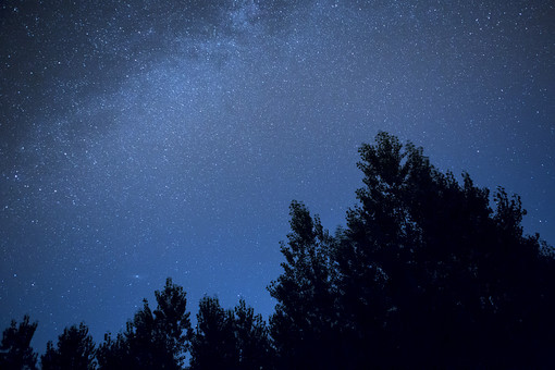 夜空に輝く しし座流星群 を見よう プラネタリウムと屋外で夜空の星も見られます 11月2日 申込開始 先着順 滋賀のママがイベント 育児 遊び 学びを発信 シガマンマ ピースマム