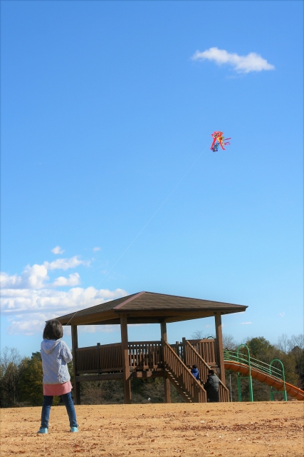 《2019年1月6日（日）》どんな凧が出来るかな？草津川跡地公園de愛ひろば『新春　凧づくり＆凧あげをしよう！』開催