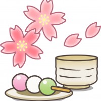 3月24日 草津市のロクハ荘で さくら茶会19 が開催 桜の木の下でお茶会を楽しもう 模擬店やミニゲームも登場 滋賀のママがイベント 育児 遊び 学びを発信 シガマンマ ピースマム