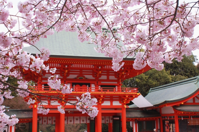 近江神宮のゆったりした雰囲気を楽しんで♪4月20日、21日は｢近江神宮マルシェ”S”｣♪