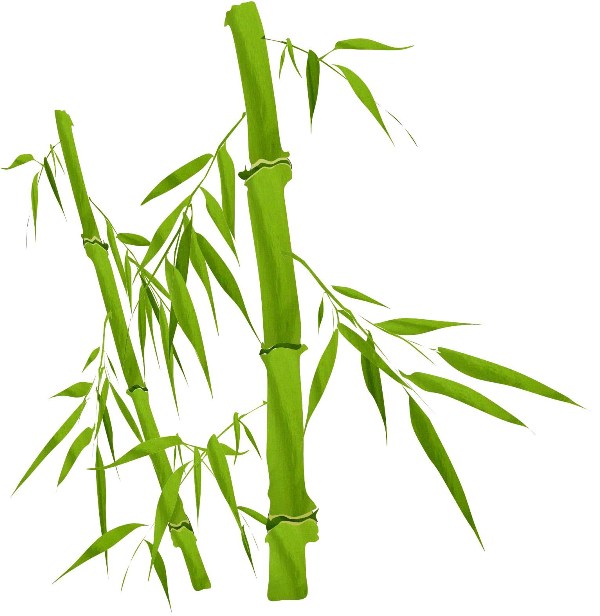 《3月16日》彦根市の愛知川河川敷にて「愛知川河畔林整備体験」が開催！竹細工作りや野草の天ぷら試食もあり！